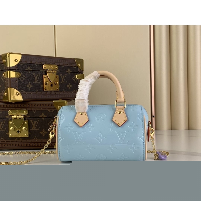LV Speedy Bags